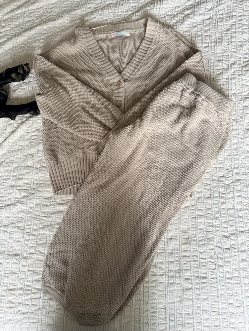 Free People Taupe-Cream Knit Lounge Set - V-Neck Button Sweater & Pull-On Pants